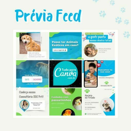 pack canva editável