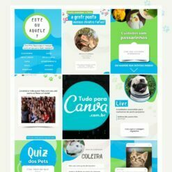 pack canva editável